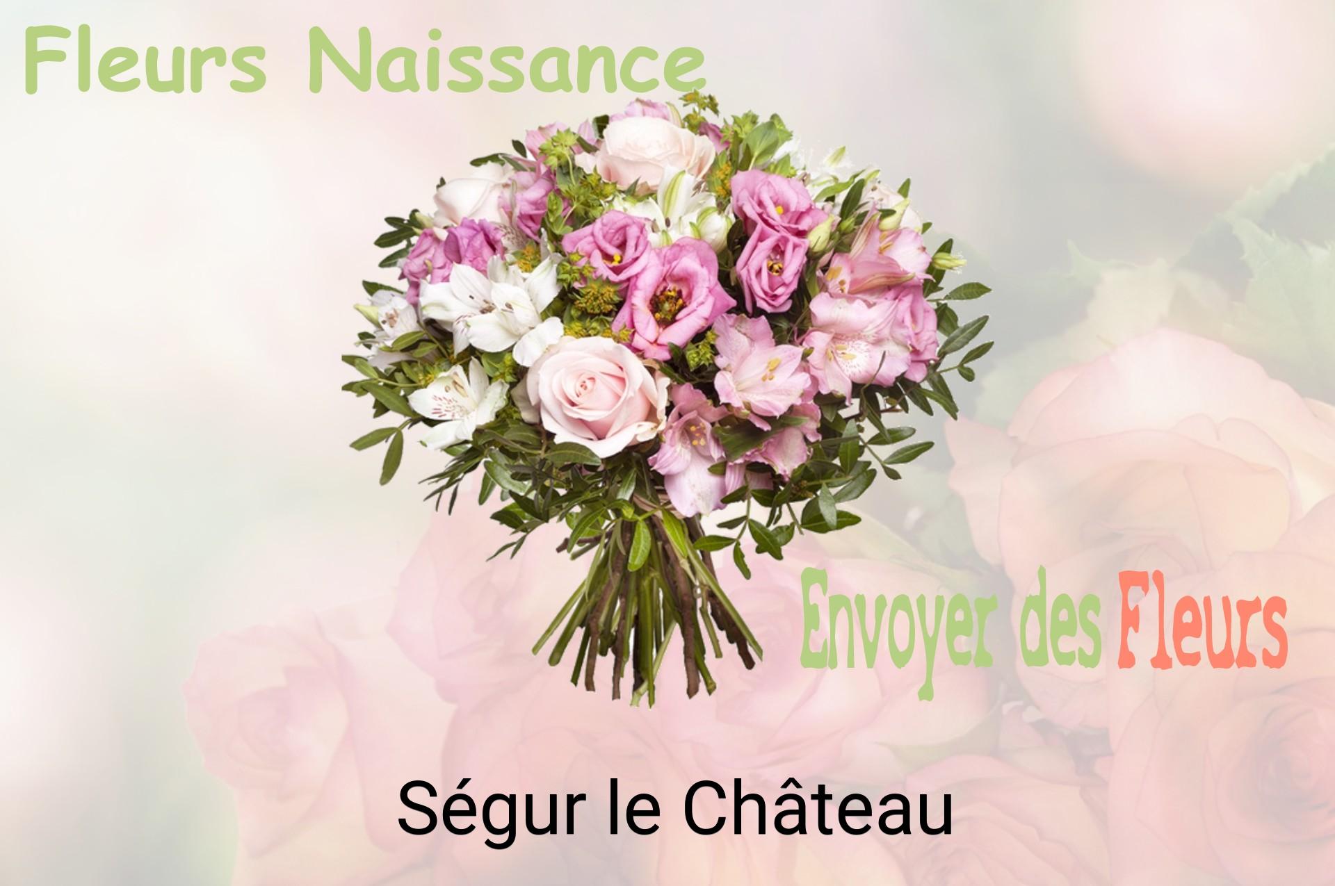 Bouquet de fleurs de naissance livré à Ségur-le-Château